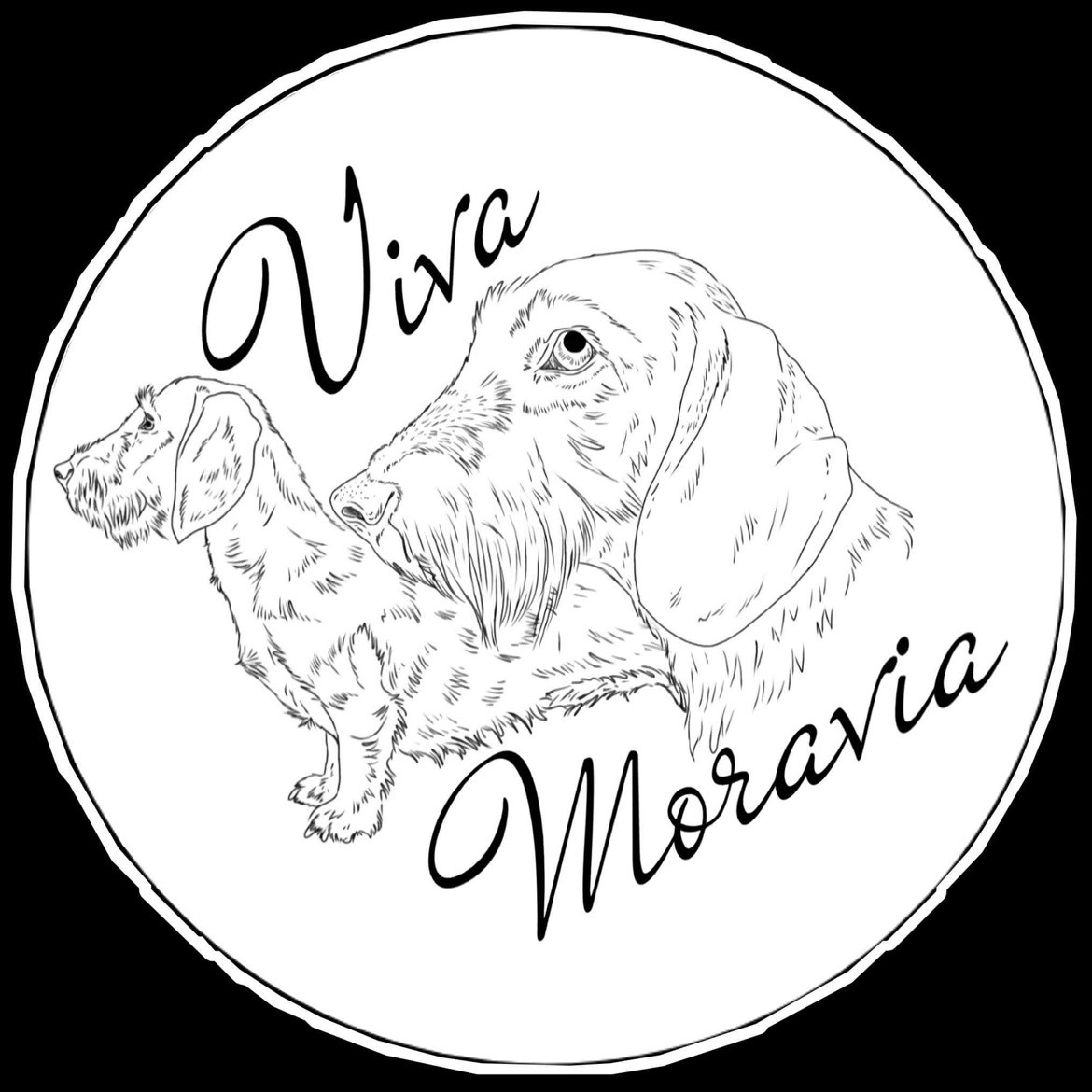 Viva Moravia